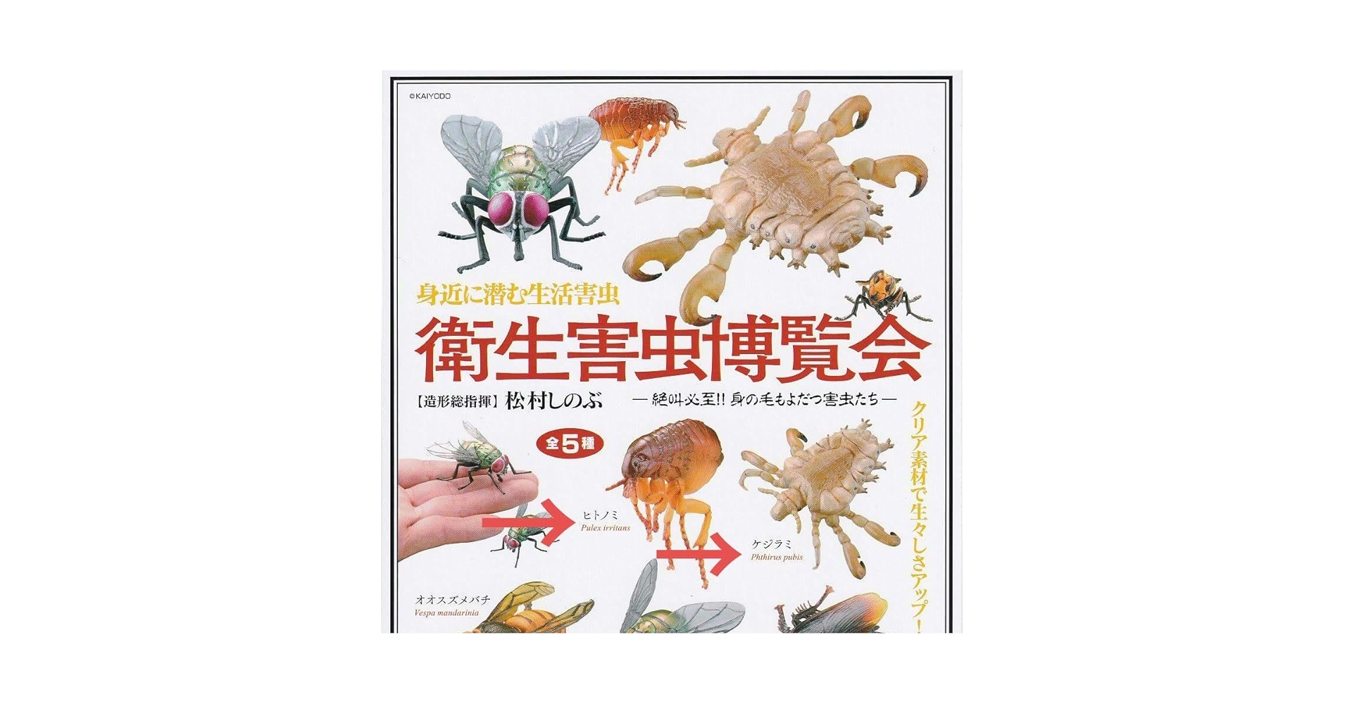衛生害虫博覧会 衛生害虫博覧会～身近に潜む生活害虫～ 全5種/1回300円