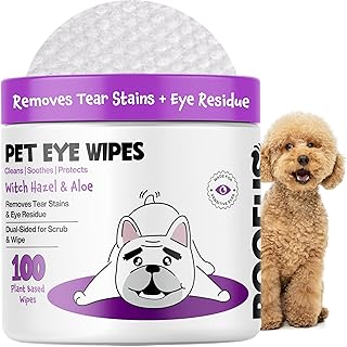 Eye Wipes 100 Counts