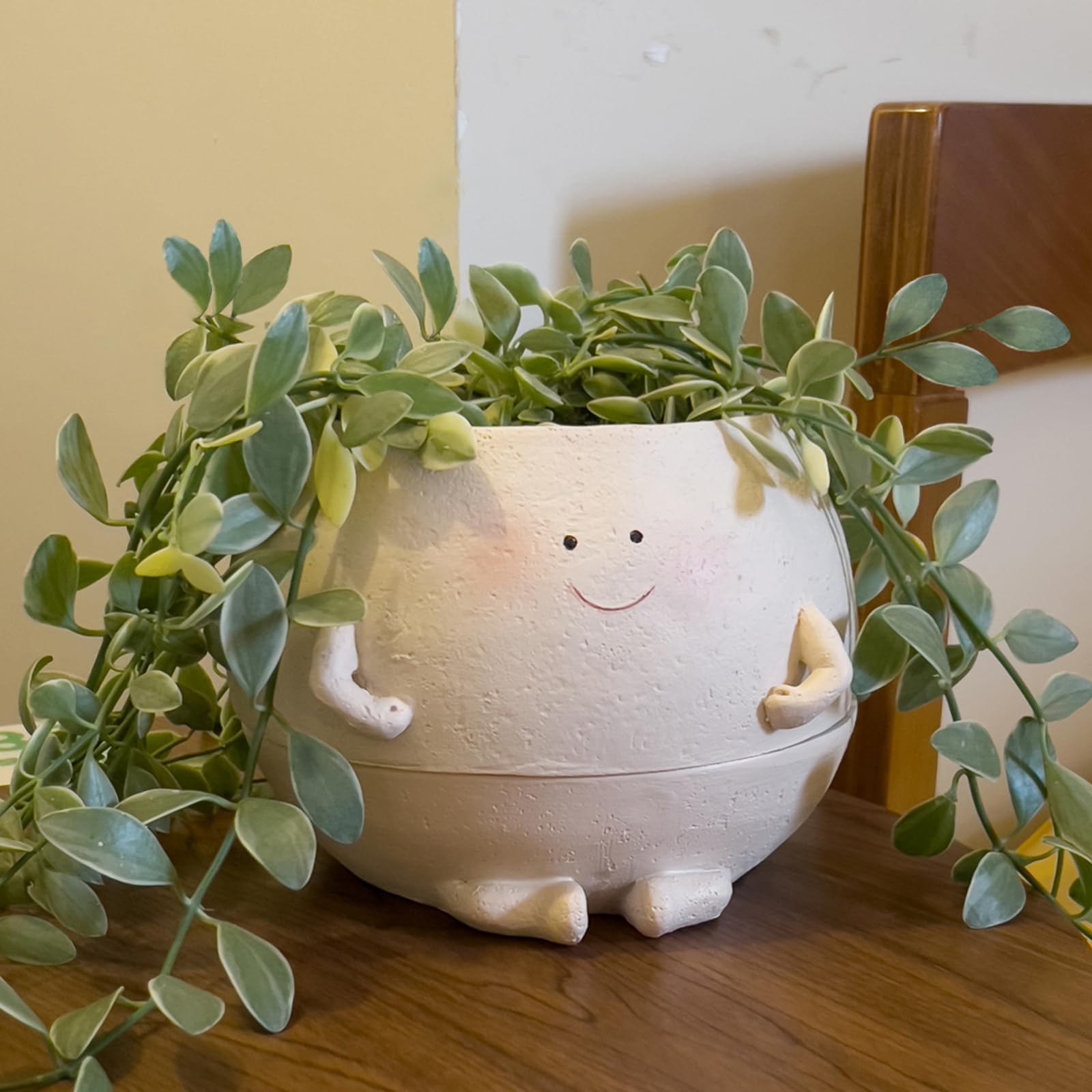 NINIPAPA Self Watering Plant Pot 4 Inch Cute Smile Face Planter Pot