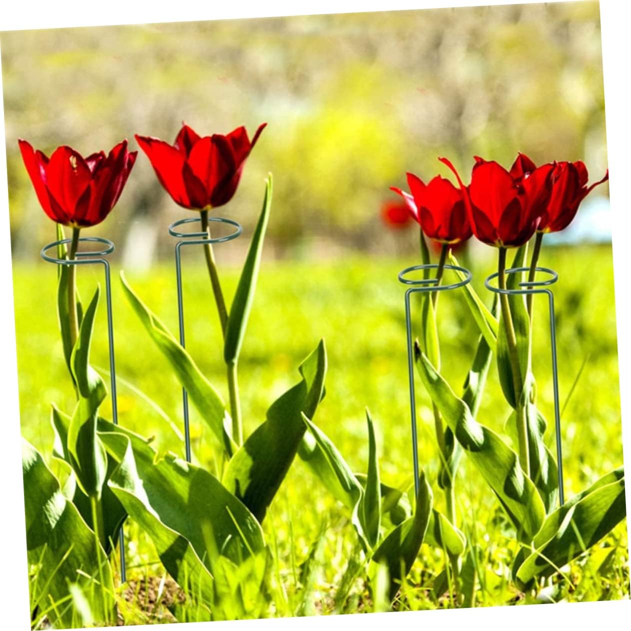 10pcs Decorative Plant Trellis for Climbing Plants Support Rack for Vines and Flowers Height for Use