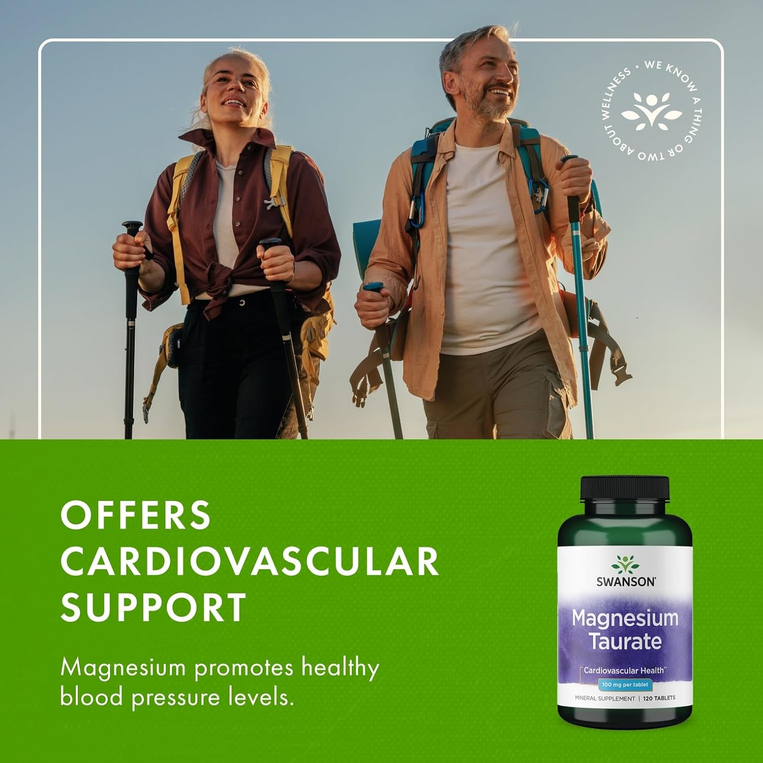 Swanson Magnesium Taurate Bone and Muscle Support Supplement for Active Adults Seeking Daily Magnesium - 100 mg per Tablet (120 Vegan Tablets, 4 Pack)