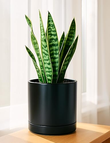 Miniatura 7 de D'vine Dev Juego de 2 macetas de cerámica de 8.2 pulgadas para plantas con orificio de drenaje y platillo, color negro, 94-V-D-2