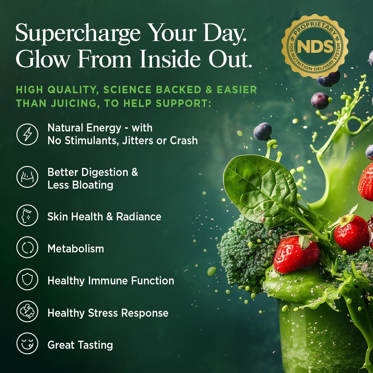 YOR SUPERGREENS - Green Powder, High Antioxidants, Great Tasting, Energy & Performance, Digestion, Skin Health, Immunity Support, Spirulina, Chlorella, Probiotics, Natural Flavor, No Sugar Added