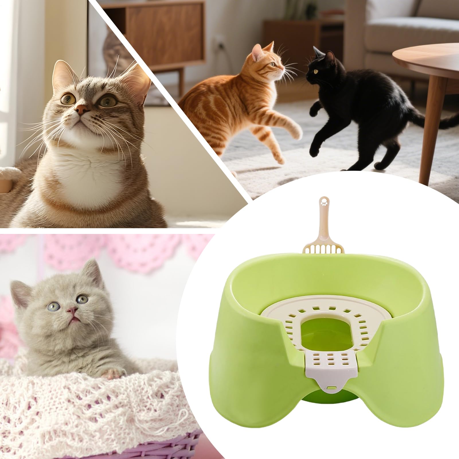 Arenero para Gatos Antiadherente | Abierta Bordes Altos para Gatitos y Gatos s Mascotas Casa Interior
