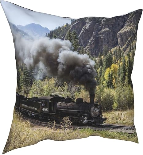 steam pillows