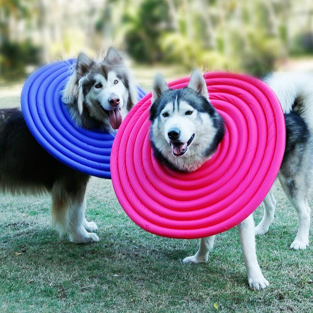 Recovery Collar for Dogs After Surgery Soft Comfy Cone Collar Anti-Bite/Lick - for Cats Too Quicker Healing Does Not Affect Action (C XX)