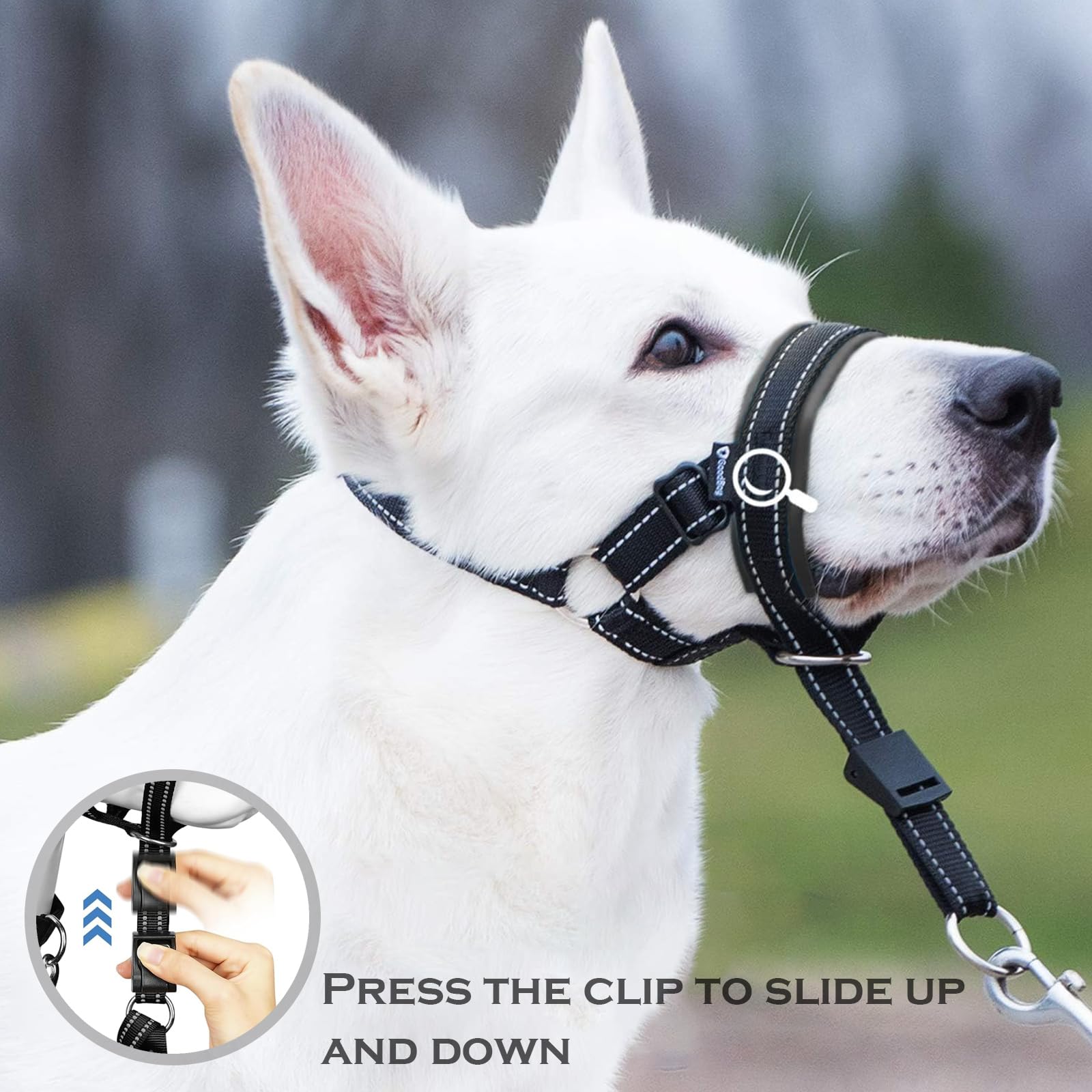 Museliere pour Chiens Grand/Moyen Collier de Dressage pour Chien Sangles Réglables Pet Corrector Boucle de Dégagement Musoliaire Chien Respirant pour Entraînement Quotidien Voyage