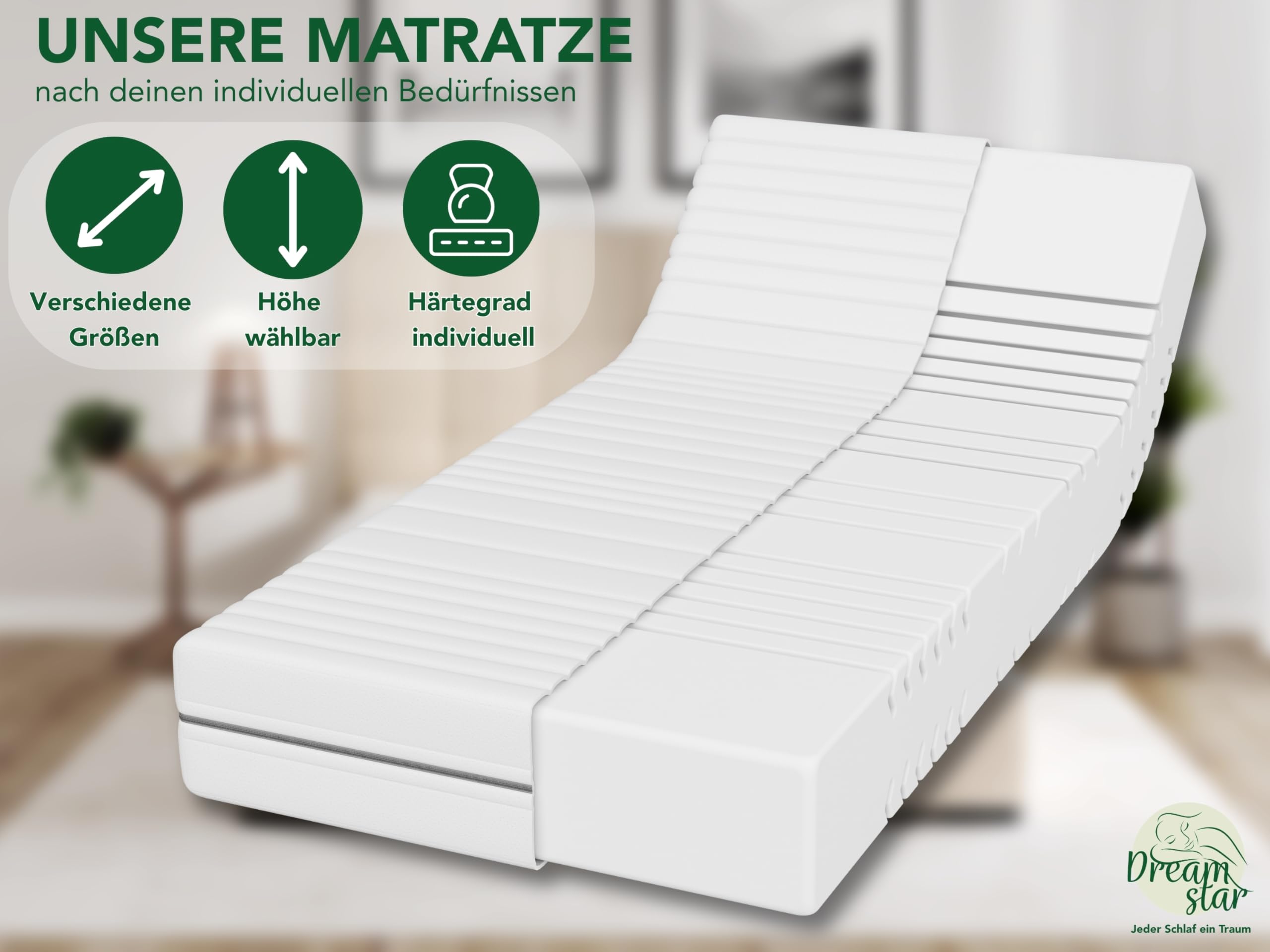 DREAMSTAR Kaltschaummatratze Vital Silber XXL 24 cm hoch | Ergonomische 7-Zonen Matratze 100x200 cm H3 | Hypoallergen & Antibakteriell | Bezug abnehmbar & waschbar | Öko-TEX® | (24cm, 100 x 200 cm)