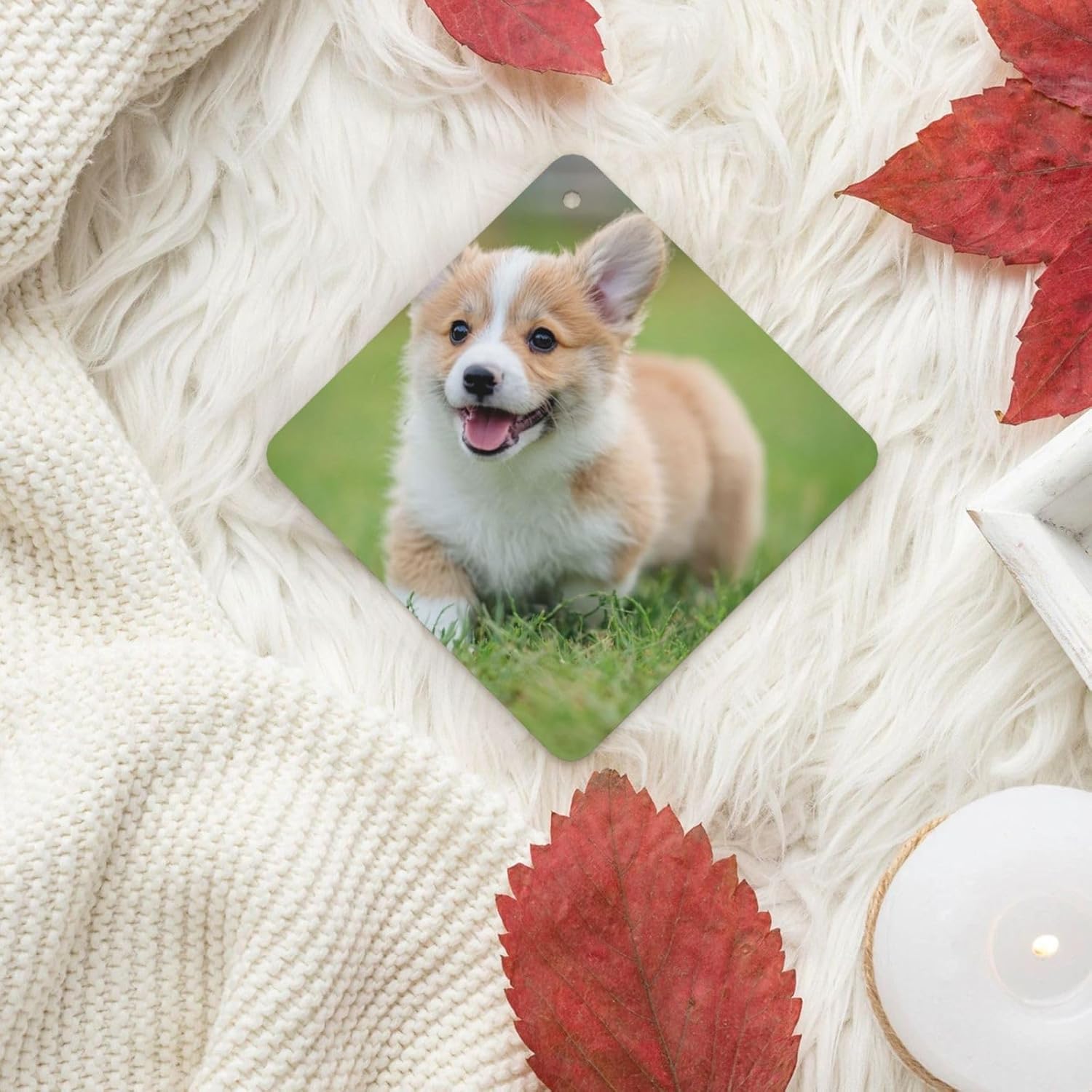 Car Air Freshener 24 PCS Corgi Puppy Hanging Car Air Fresheners Auto Interior Decor Card Freshener Strong Scented Card Lavender Cars Scents for Office Bedroom Close Drawer Square