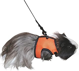 SPORT Meerschweinchengeschirr mit flexibler Leine 120cm product image
