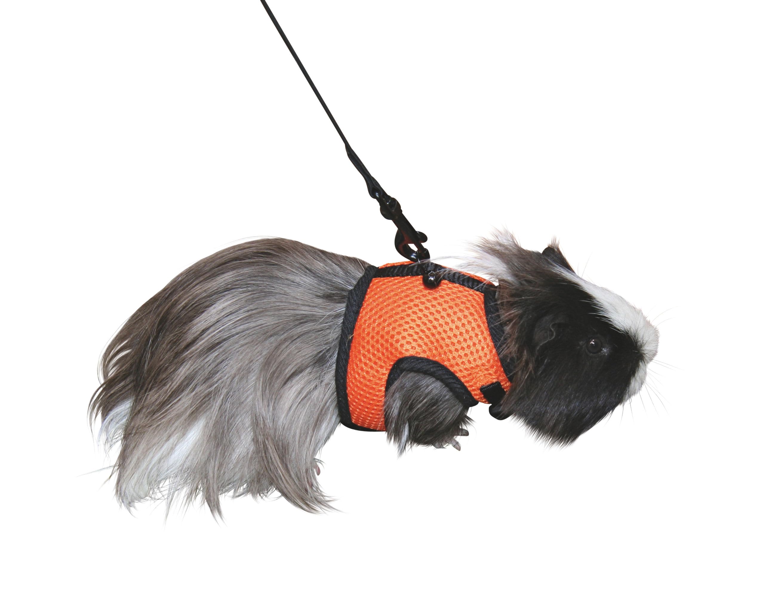 Kerbl Rodent Harness Sport includes Flexible Lead, 120 cm/ 22 - 30 cm Neck Circumference