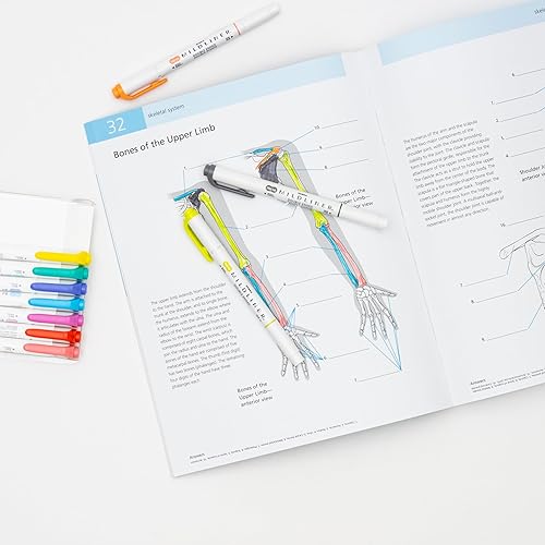 Miniatura 8 de Zebra Pen Mildliner - Juego de resaltadores de doble extremo, puntas anchas y finas, colores de tinta renovables y amigables, paquete de 10 (78501)