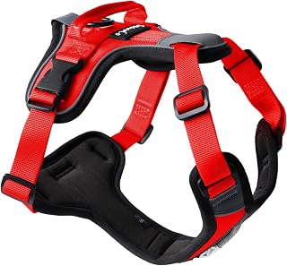 ShawnCo Basecamp Dog Harness, No-Pull Pet Vest (Mustang Red,XS) | Front Clip for Training, Padded, Reflective, Lightweight and Adjustable with Handle for Small, Medium and Large Dogs