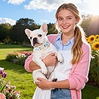 Vista 198 de DOGWONG Collar de perro Airtag de algodón y cáñamo, collar resistente para perros con soporte para Airtag, collares verdes para perros pequeños