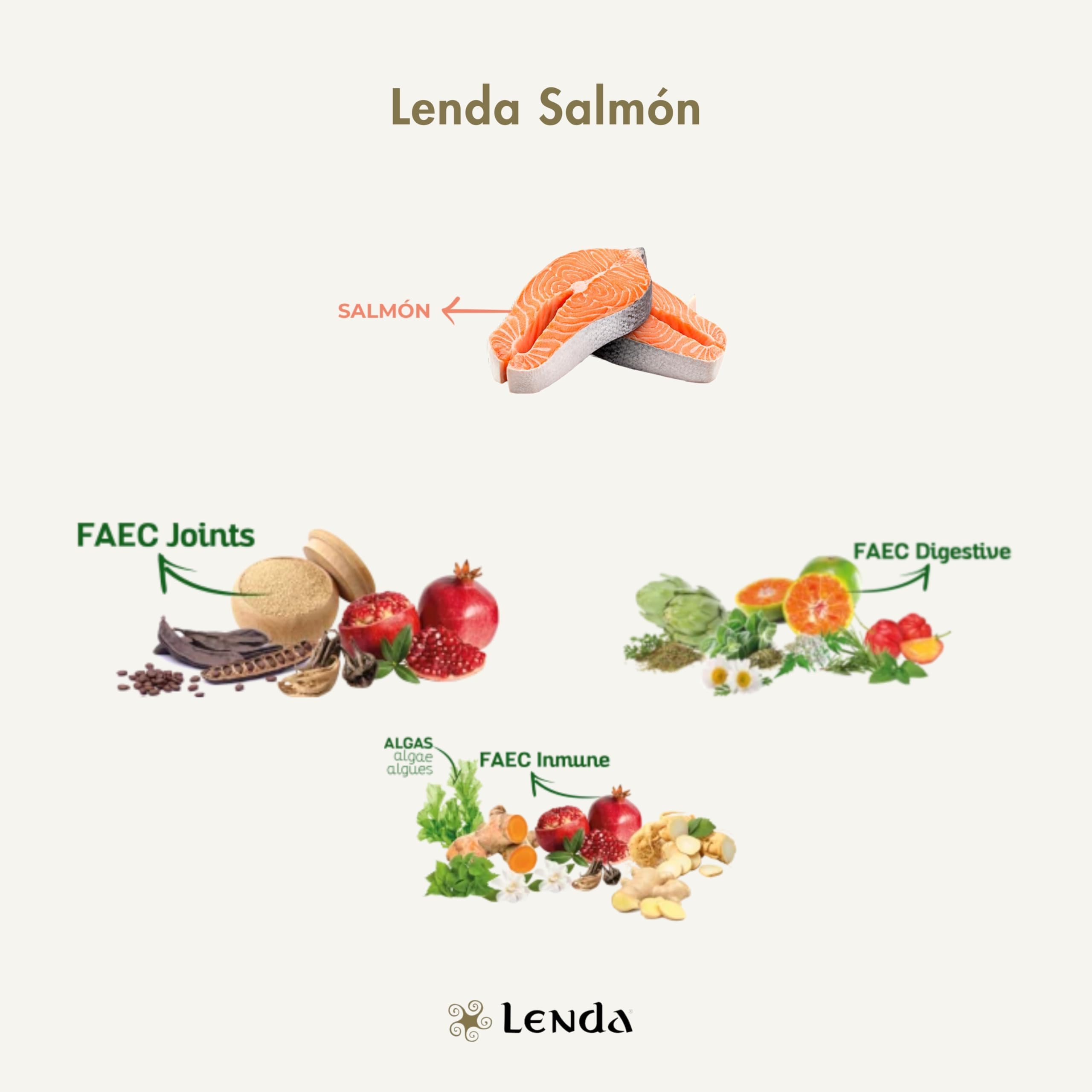 Lenda Salmón - Pienso para Perros Rico En Salmón |Comida para Perros Jóvenes y Adultos de Todas Las Razas | Pienso para Perro Natural (12 KG)
