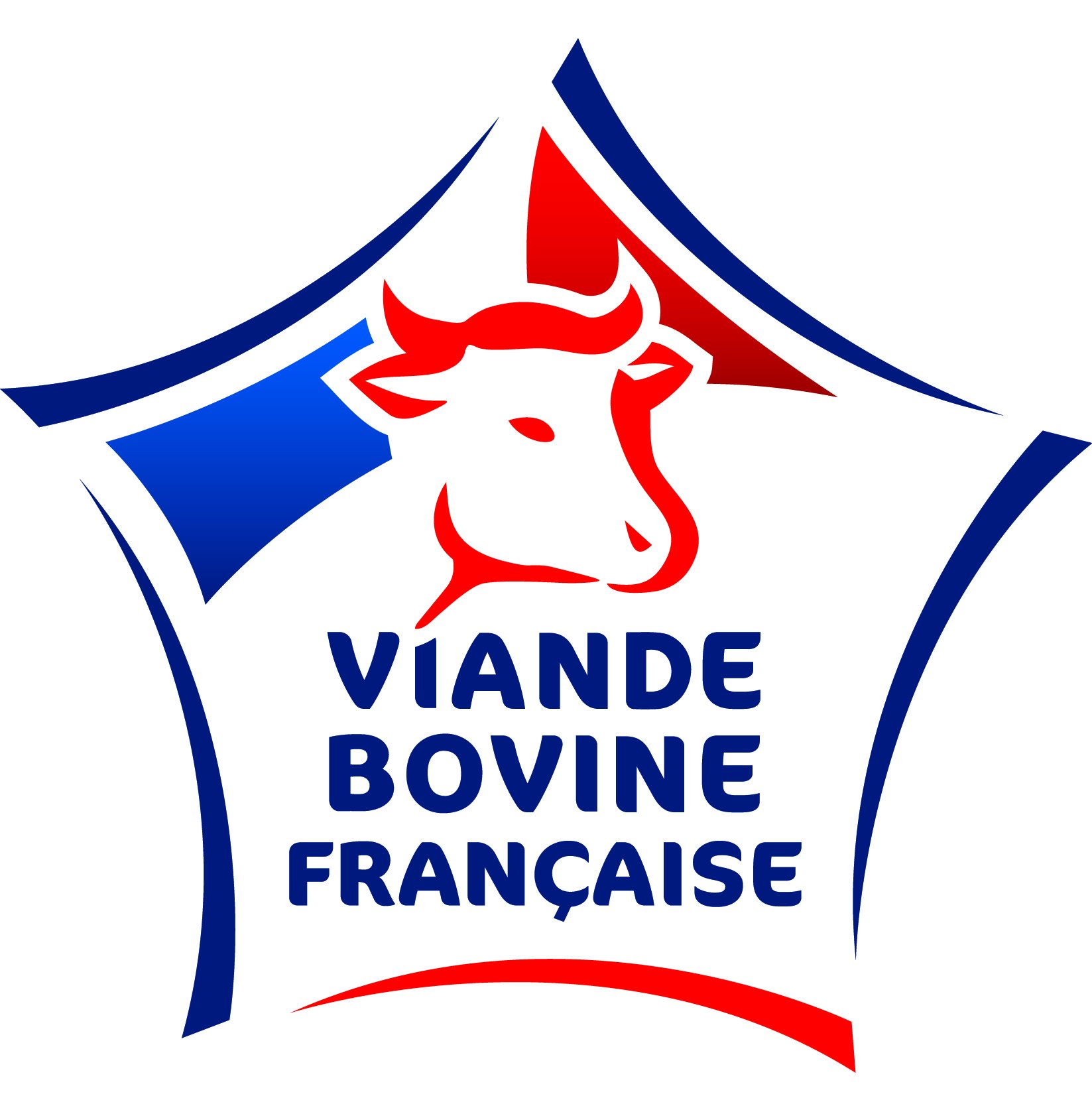Entrecôte Boeuf Première - 4 Pièces de 380g environ chacune - Viande de race Limousine Origine Occitanie