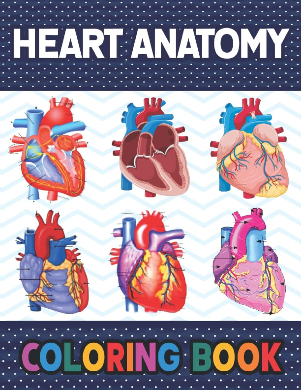 Heart Anatomy Coloring Book: Human Heart Anatomy Coloring Book For Kids & Adults. A Helpful Book and Fun Way to Learn Human Heart Anatomy. Perfect ... Anatomy Book for Beginning Medical Students.