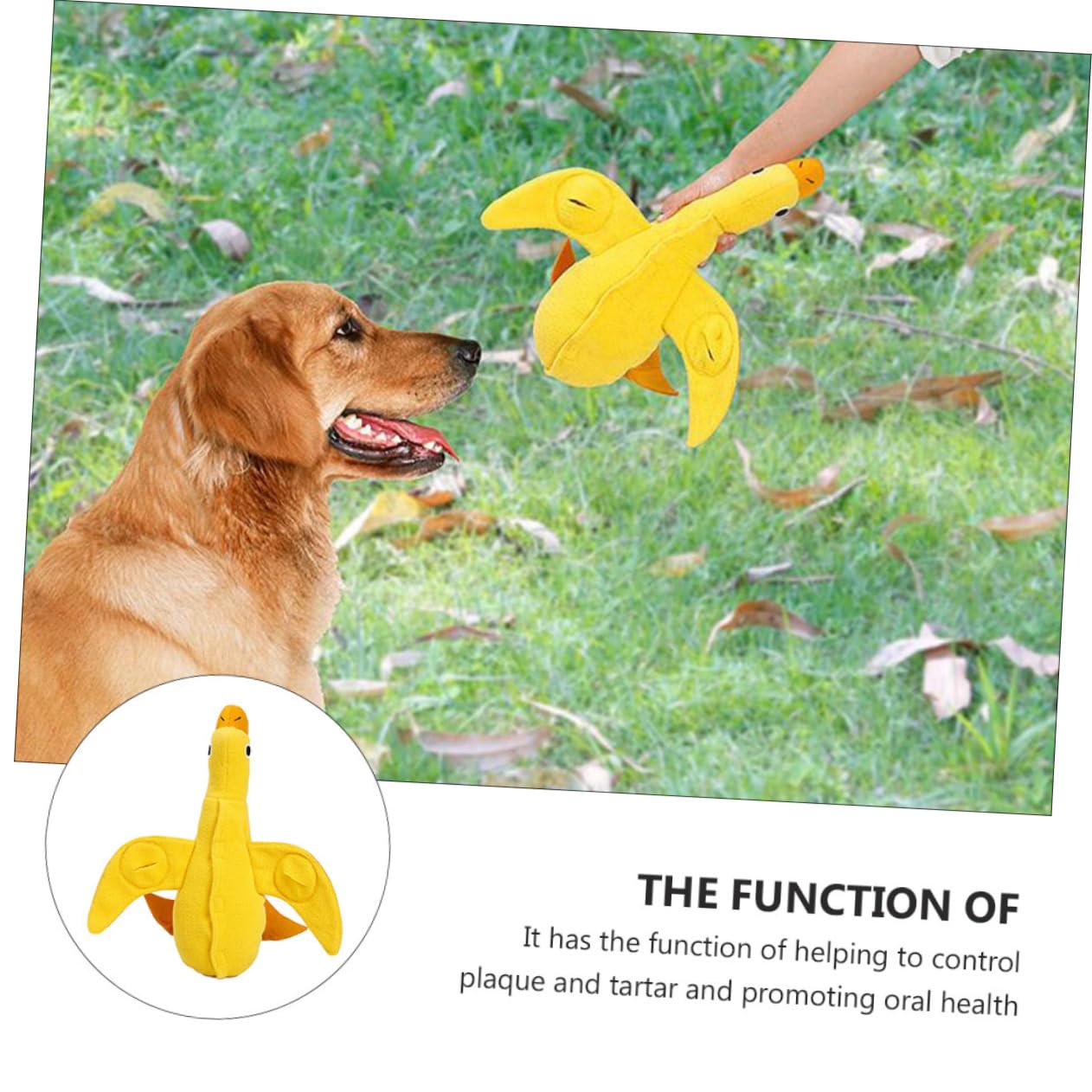 Supvox 3stücke Pet Squeaky Toy Für Hunde Ducke Interaktives Kauspielzeug Fördert Natürliche Verhaltensweisen Für Welpen Und Kleine Hunde Stimuliert Energie Und Spieltrieb