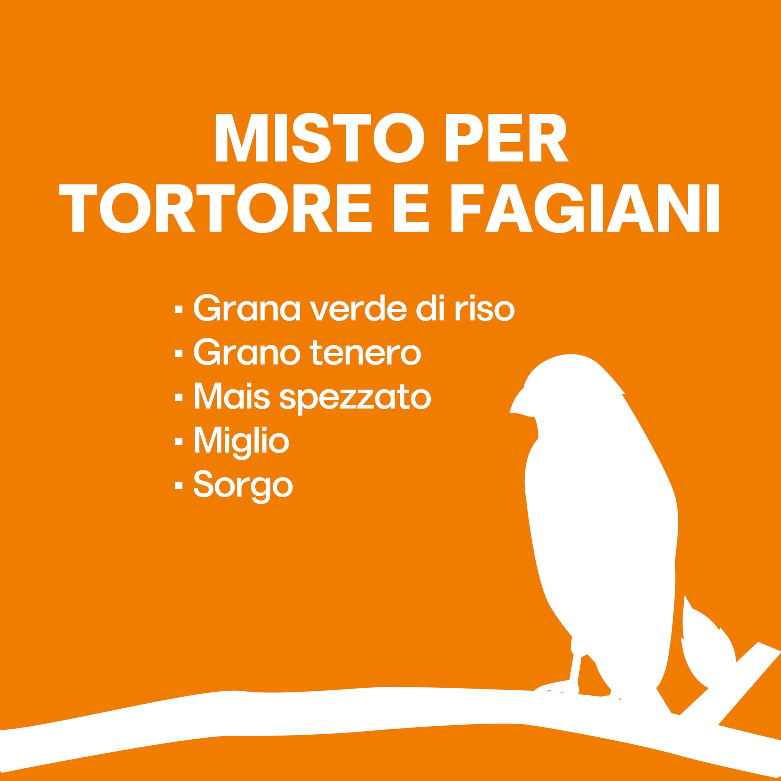 Il Contadino - Antichi Becchimi | Misto per TORTORE e FAGIANI | Formula Ricca di Semi Selezionati Adatta per Tutto L'Anno, No OGM, 100% Vegetale, Assenza di scarti. qualità Superiore (10 kg)