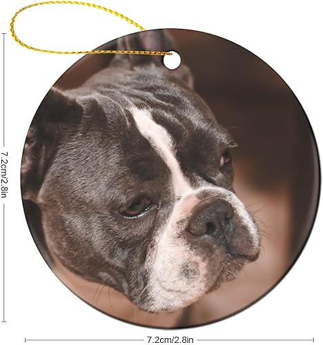 Miniatura 2 de Adornos de Navidad 2023 para árbol, adorno de cerámica de perro toro francés, regalo para amantes de los animales, decoraciones de bolas de Navidad,