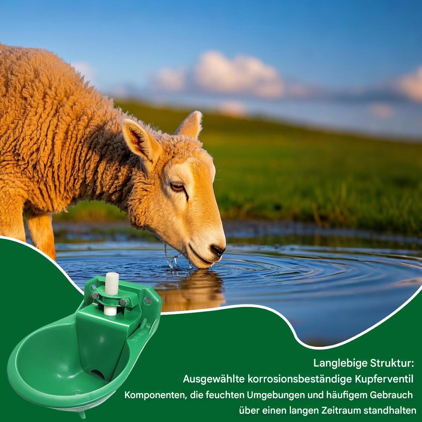 Serbatoio 'acqua automatico, 500 ml Sheep Water Through, mangiatoia per capre – Livestock Water Dispenser, pollame – Attrezzature per l'alimentazione per pollame per interni ed esterni, per