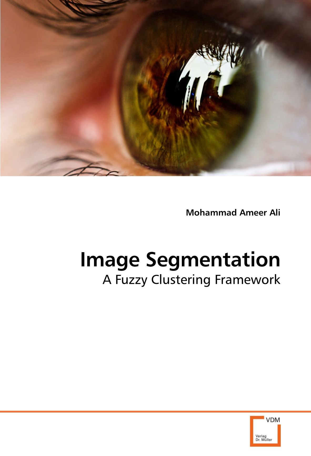 Image Segmentation: A Fuzzy Clustering Framework