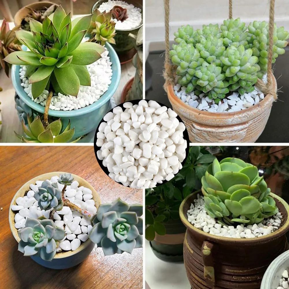500g di Ciottoli Bianchi Decorativi, Ghiaia Naturale, Piccole Pietre per Piante Grasse, Riempitivi per Vasi, Acquari, Mini Paesaggi, Decorazioni da Giardino, 0,3-0,6cm