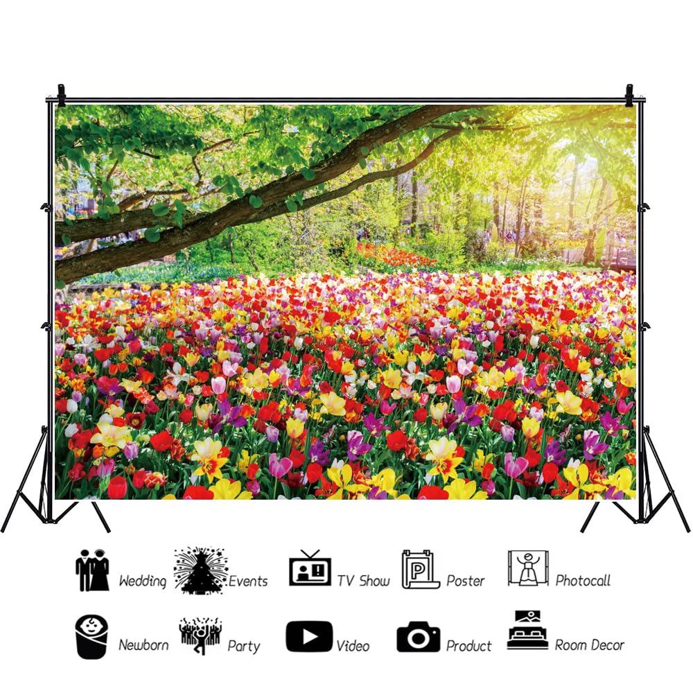 Toile De Fond Fleurs En Cascade, Décoration De Fête Bohème