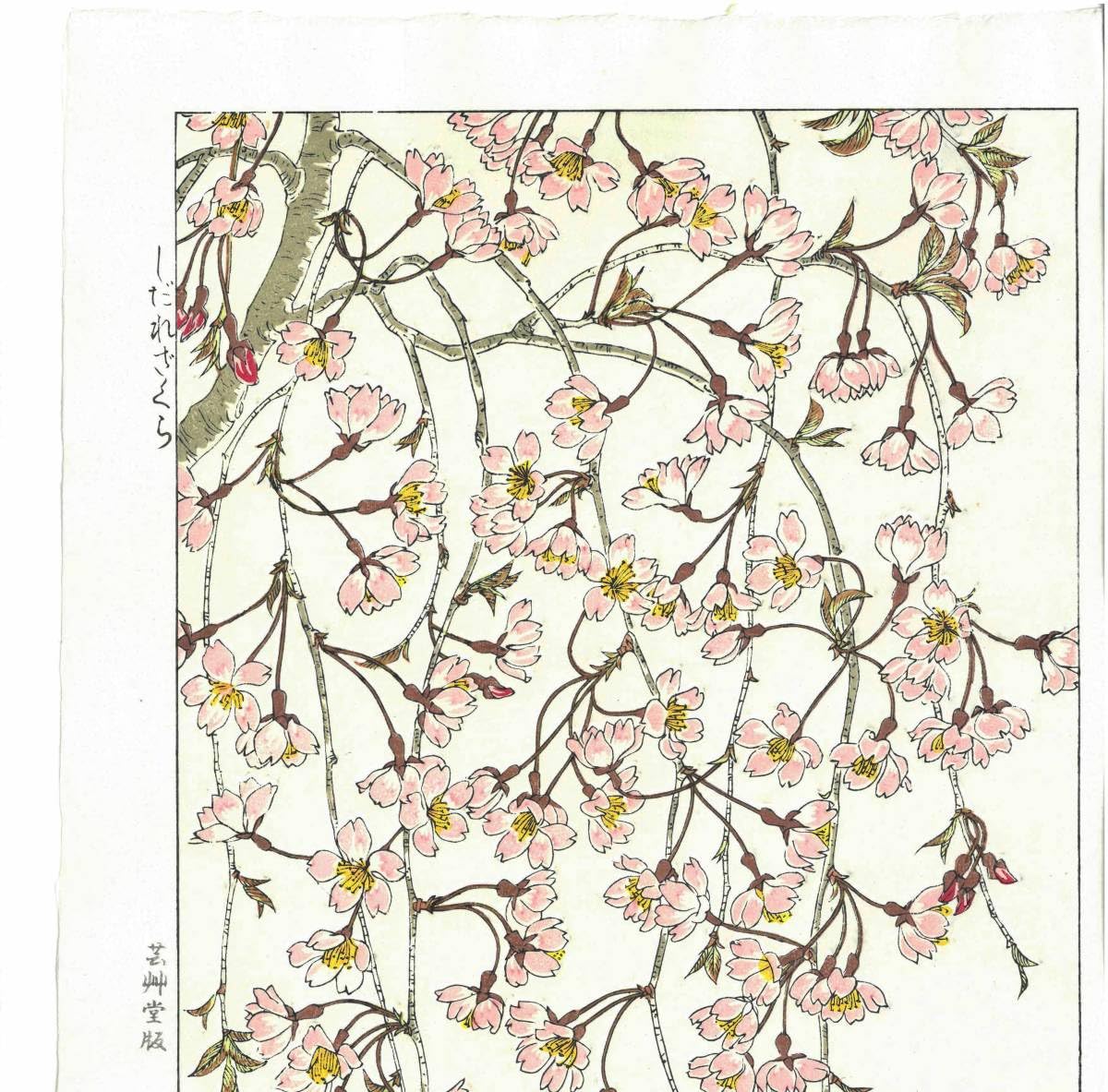 Amazon.co.jp: 葛原 輝 (Kuzuhara Teru) (19152015) 木版画 F143