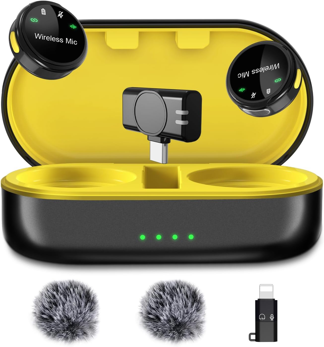Black Mic for USB C + Charging Case