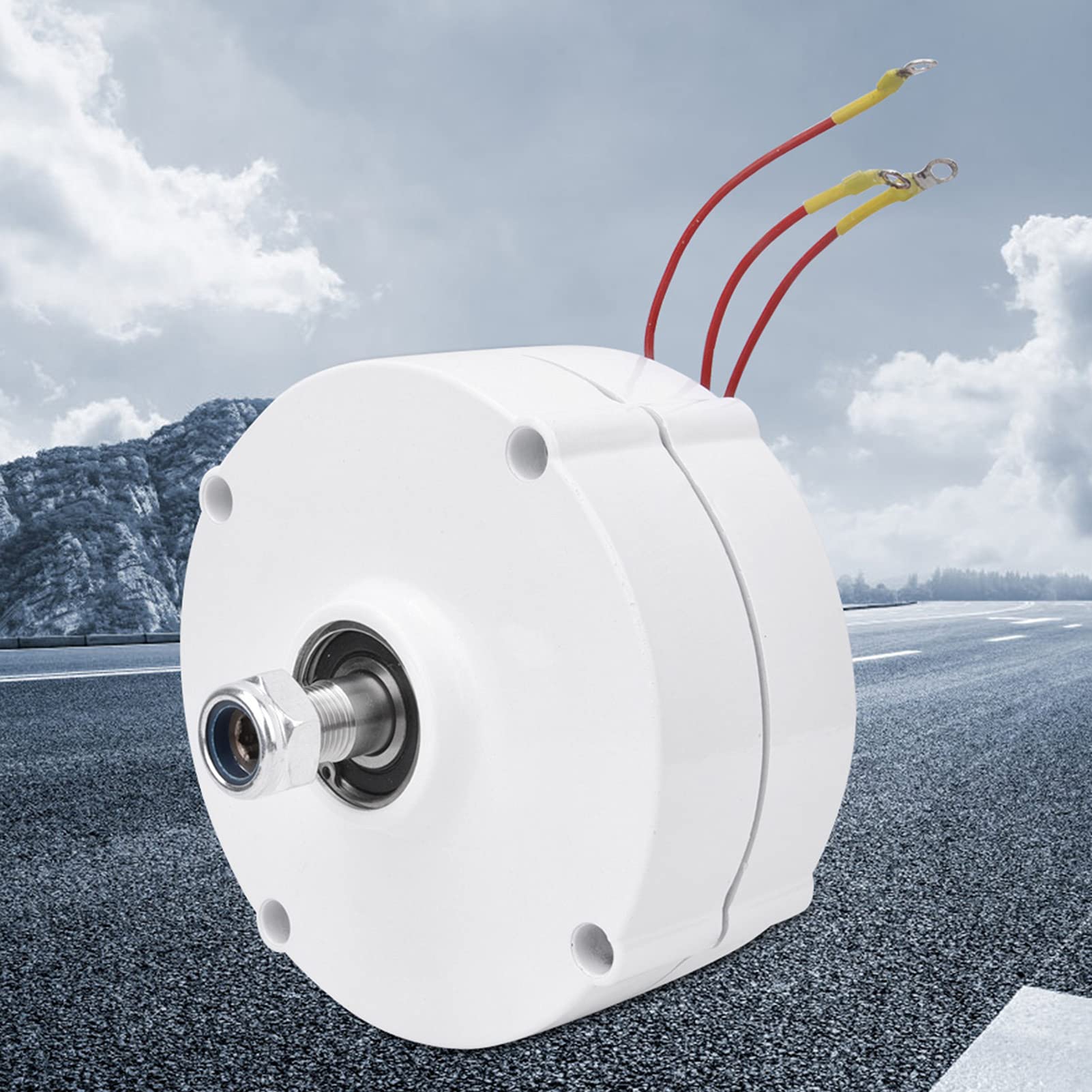 Fafeicy Generatore a Magneti Permanenti, Generatore di Energia Eolica NE-200 Ad Alta Efficienza per Uso Esterno, Alternatore Sincrono da 200 W 12 V (il motore) (il motore)