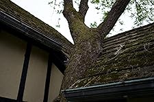 Review Image by allenmf allenmf