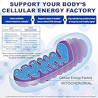 Vista 5 de Cápsulas azul de metileno grado USP 12 mg – Suplemento de alta pureza con éster de vitamina C y cacao, apoya la función cognitiva y energía celular