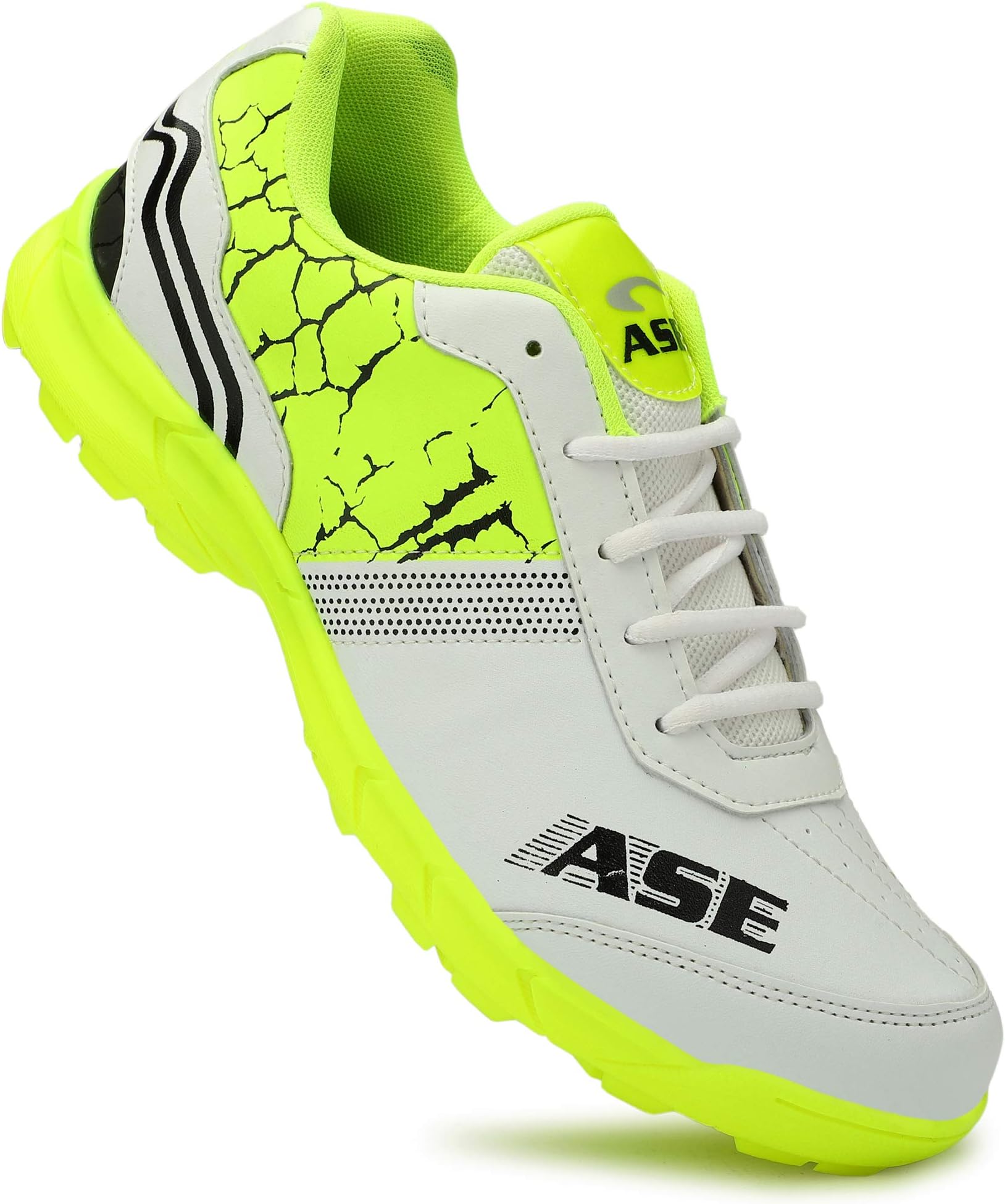ASE Men's Professional Cricket Shoes