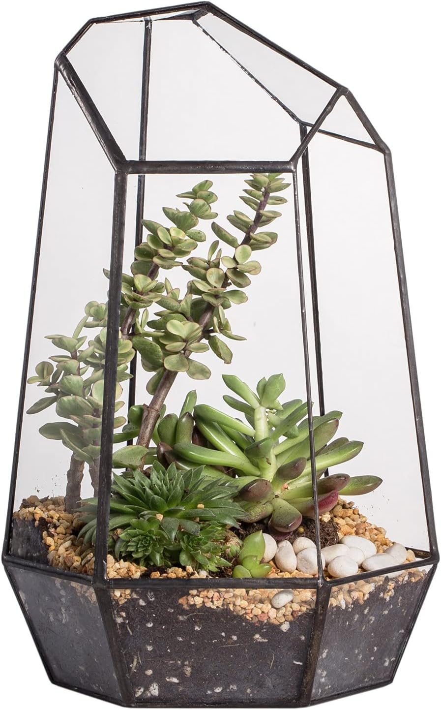 NCYP 9.8inches Irregular Glass Geometric Terrarium Planter for Plants Succulent