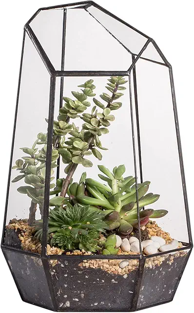 NCYP Terrario de Forma geométrica de Prisma de Cristal, 16,5x14,5x25cm, para Plantas suculentas (Solo Terrario, Sin Puerta No Hay Plantas)