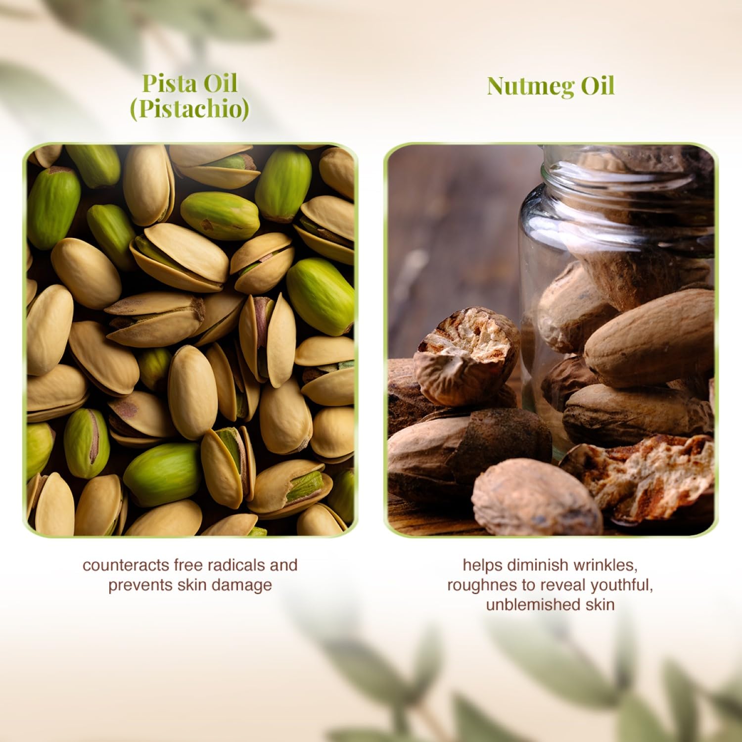 VLCC Pista Massage Cream 50g - For Intensive Hydeon and Radiation. Skin complex improvement | Protection and strengthens the skin. 10 Power of natural extracts. VLCC Pista Massage Cream 50g - For Intensive Hydeon and Radiation. Skin complex improvement | Protection and strengthens the skin. 10 Power of natural extracts.