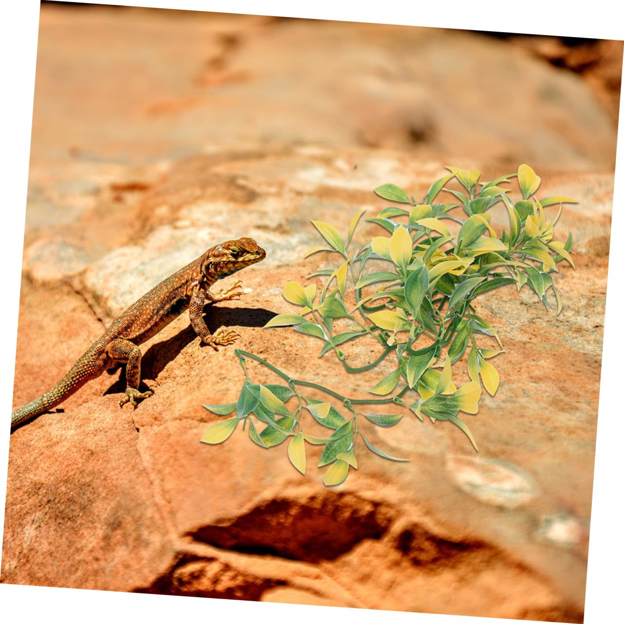Didiseaon 6 Pezzi Piante Finte per Terrari con Supporti Sospesi Decorazioni Artificiali in Plastica Resistenti allo Sbiadimento per Terrari di Rettili Accessori per Gabbie e Arrampicata