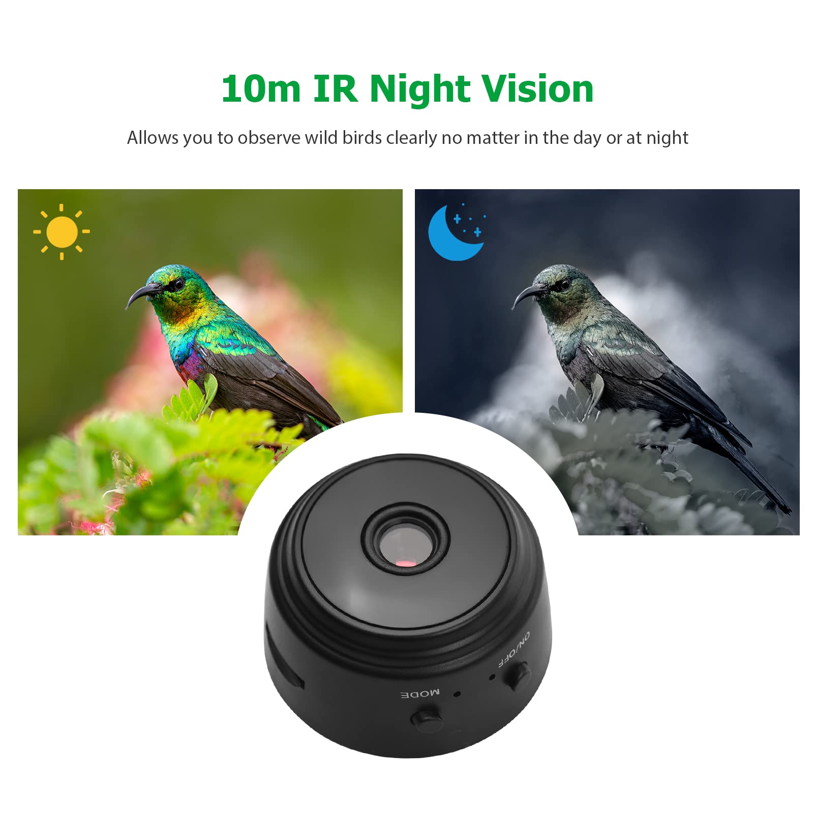 Comedero inalámbrico para pájaros con ventana de visualización transparente, soporte de ventosa, visión nocturna y tarjeta de almacenamiento de 16 GB