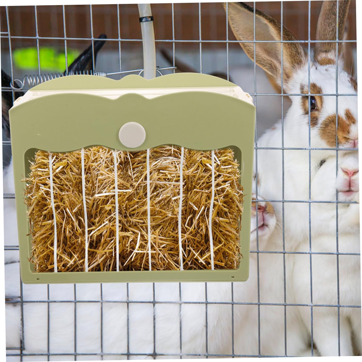 Toyvian 2pezzi Feeder Per Conigli Contenitore Appeso Per Fieno e Cibo Rete e Copertura Soluzione Pratica Per Piccoli Animali Come Conigli Porcellini e Criceti