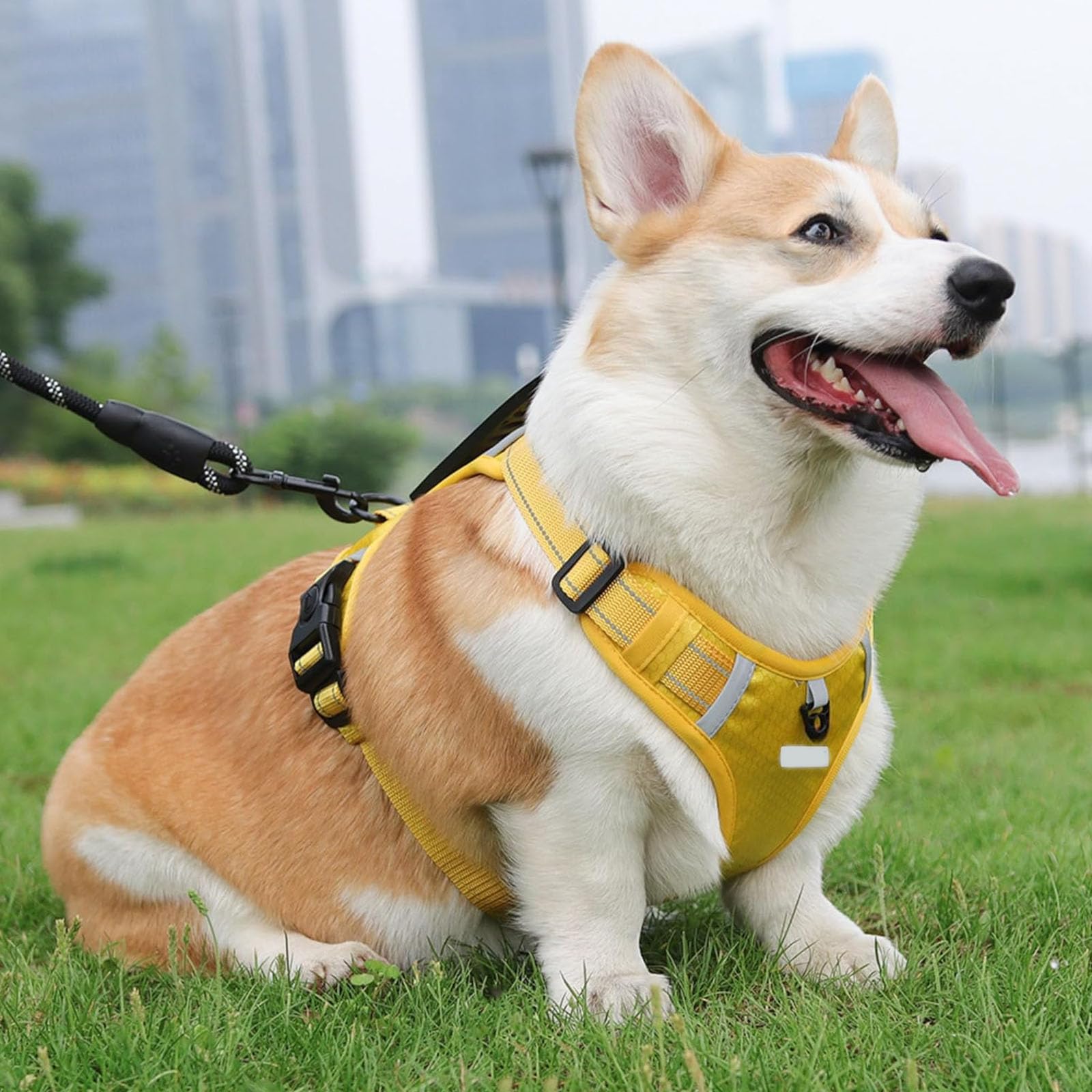 Pettorina Anti-Tiro per Cani con Guinzaglio da 5 Piedi, Gilet Riflettente per Cani con Maniglia di Facile Controllo, Gilet Regolabile per Animali Domestici per Cani E Gatti,Arancia,L