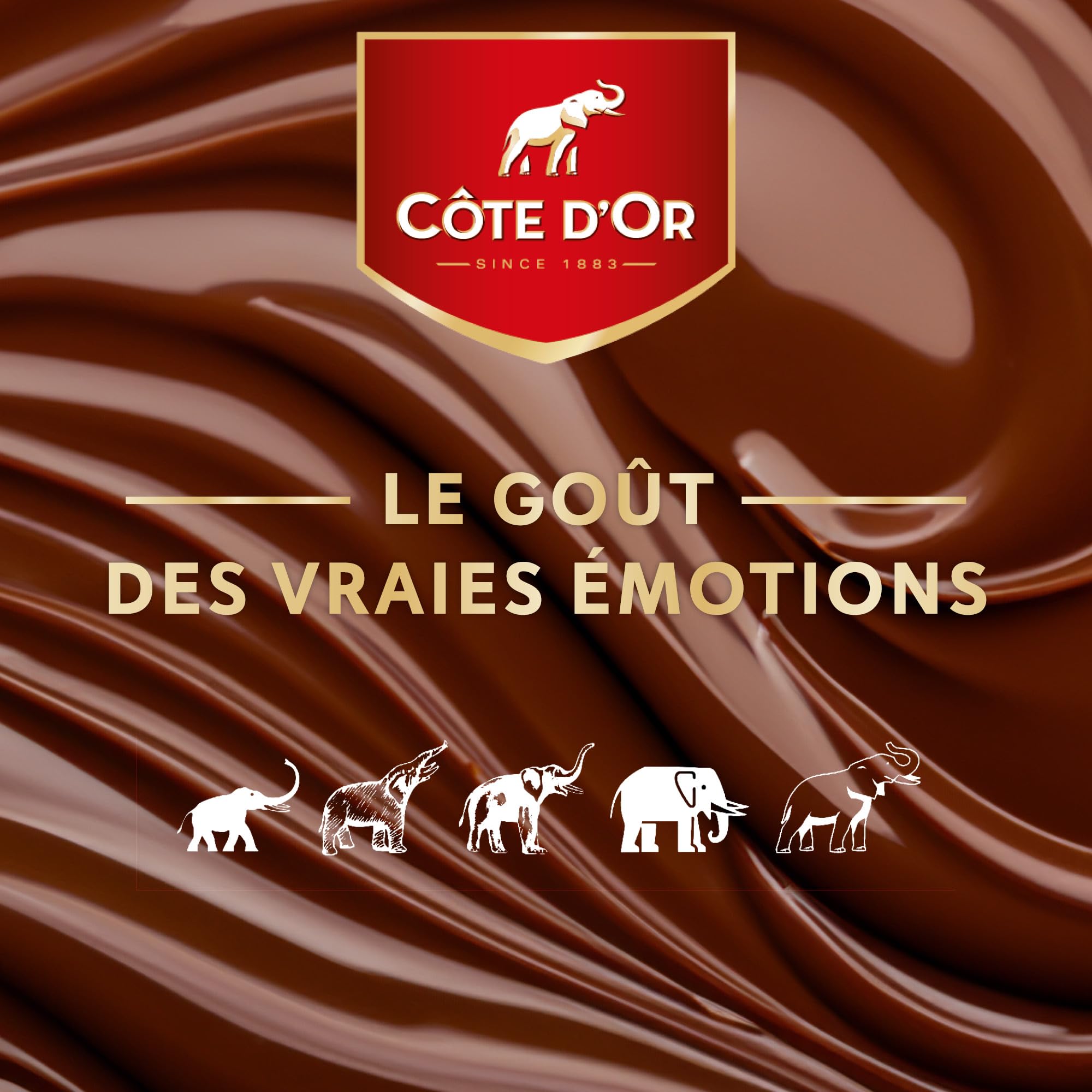 Côte d'Or Mignonnette Noir de Noir - Carton de 120 x 10 g - 1,2 kg