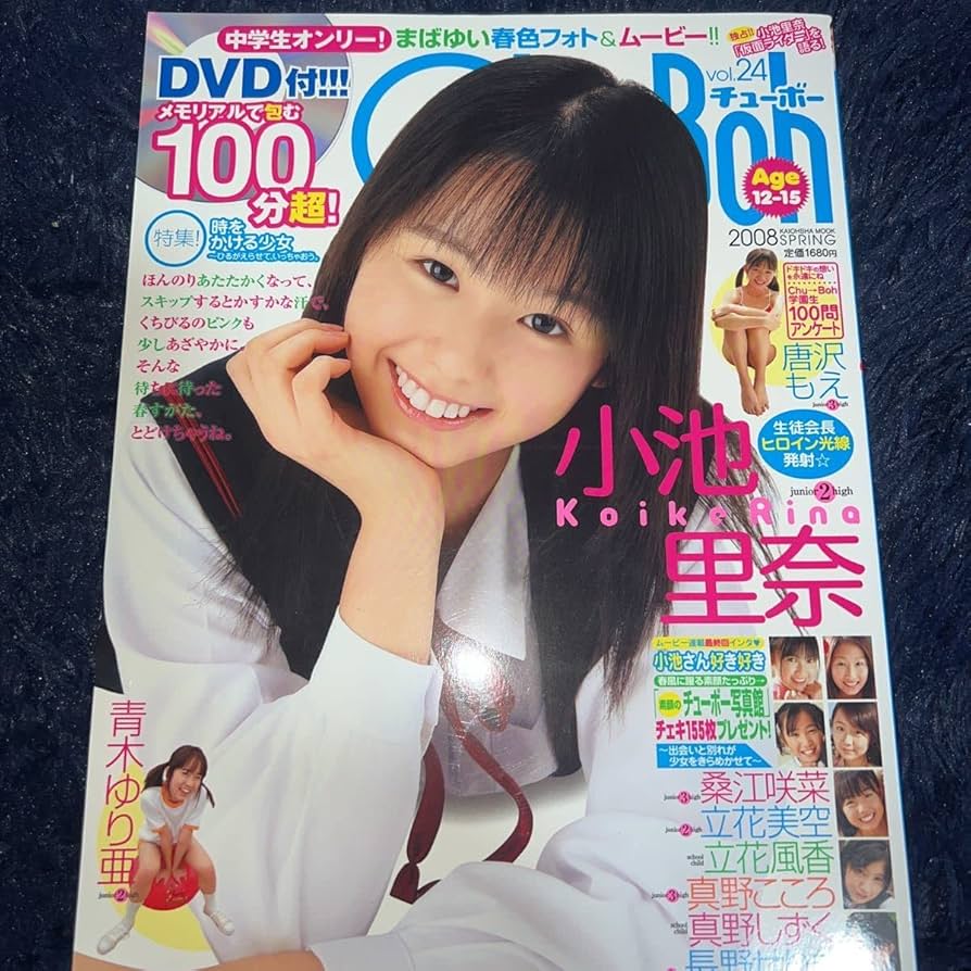 ほわほわさん専用 限定生産】 アイズフロンティア I'Z FRONTIER ウインドブロック