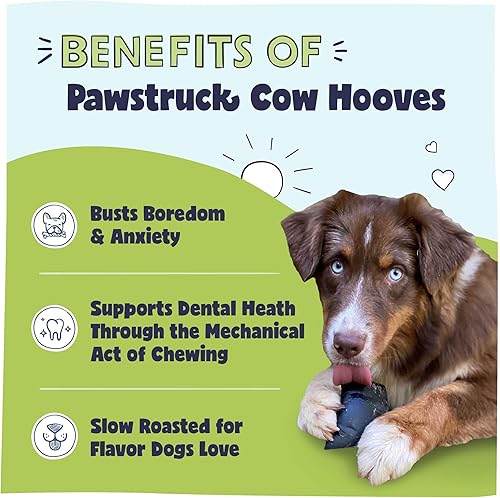 Miniatura 2 de Pezuñas naturales de vaca para perros, fabricado en Estados Unidos, golosinas masticables dentales de carne