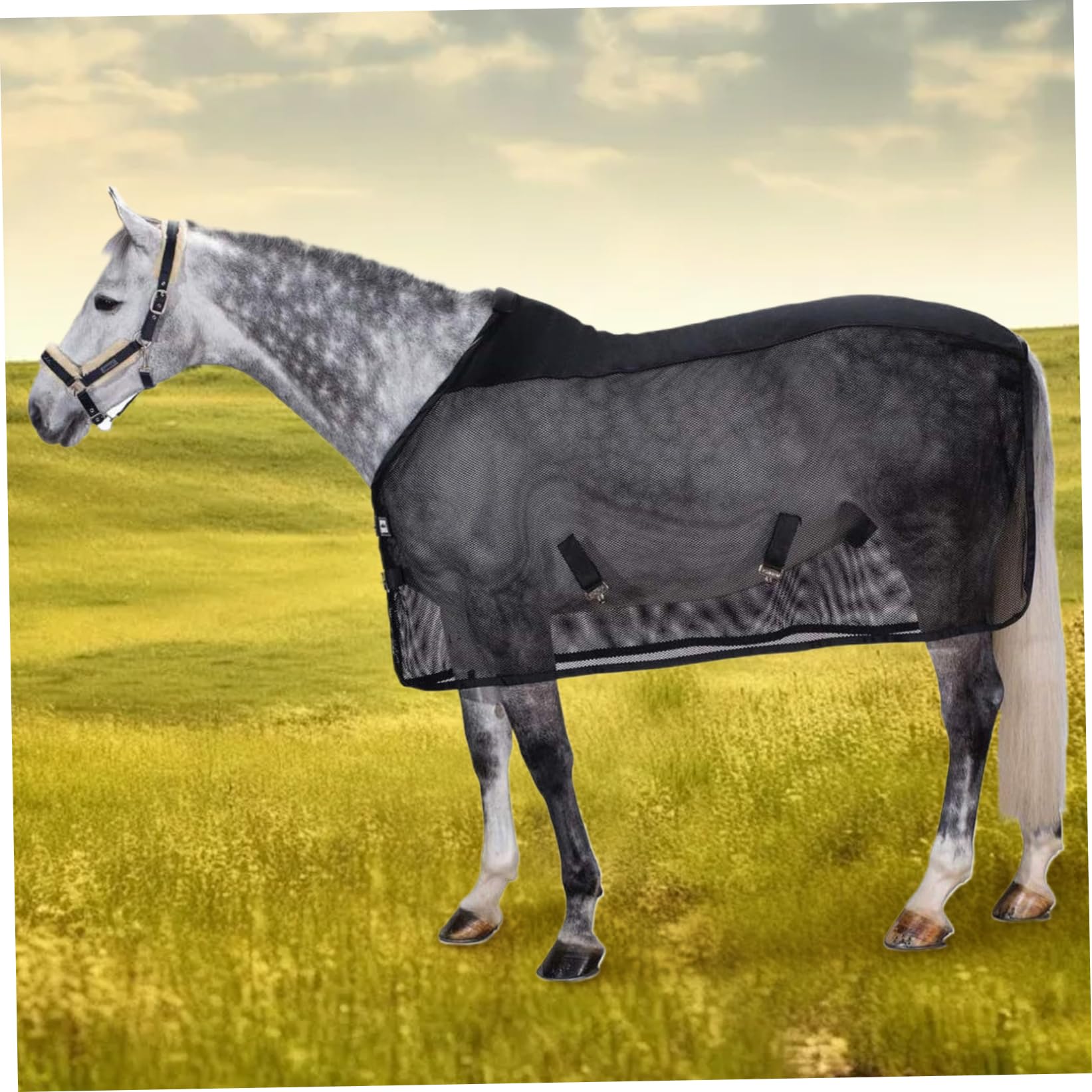 Manta mosquitera Ajustable para Caballos, protección UV y Malla Transpirable para Caballos Reales, Manta mosquitera con Hebilla, Exterior para Reales.