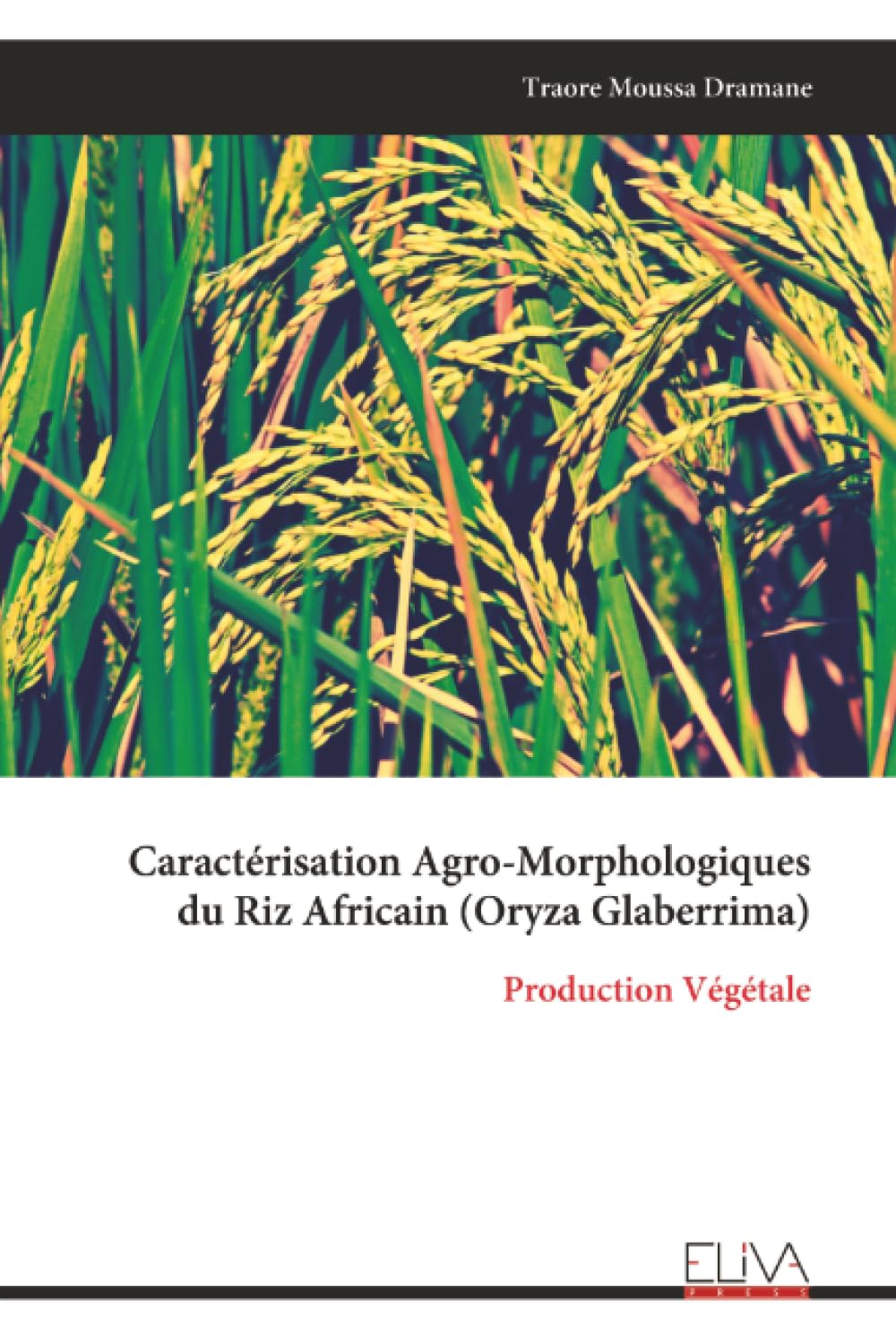 Caractérisation Agro-Morphologiques du Riz Africain (Oryza Glaberrima): Production Végétale