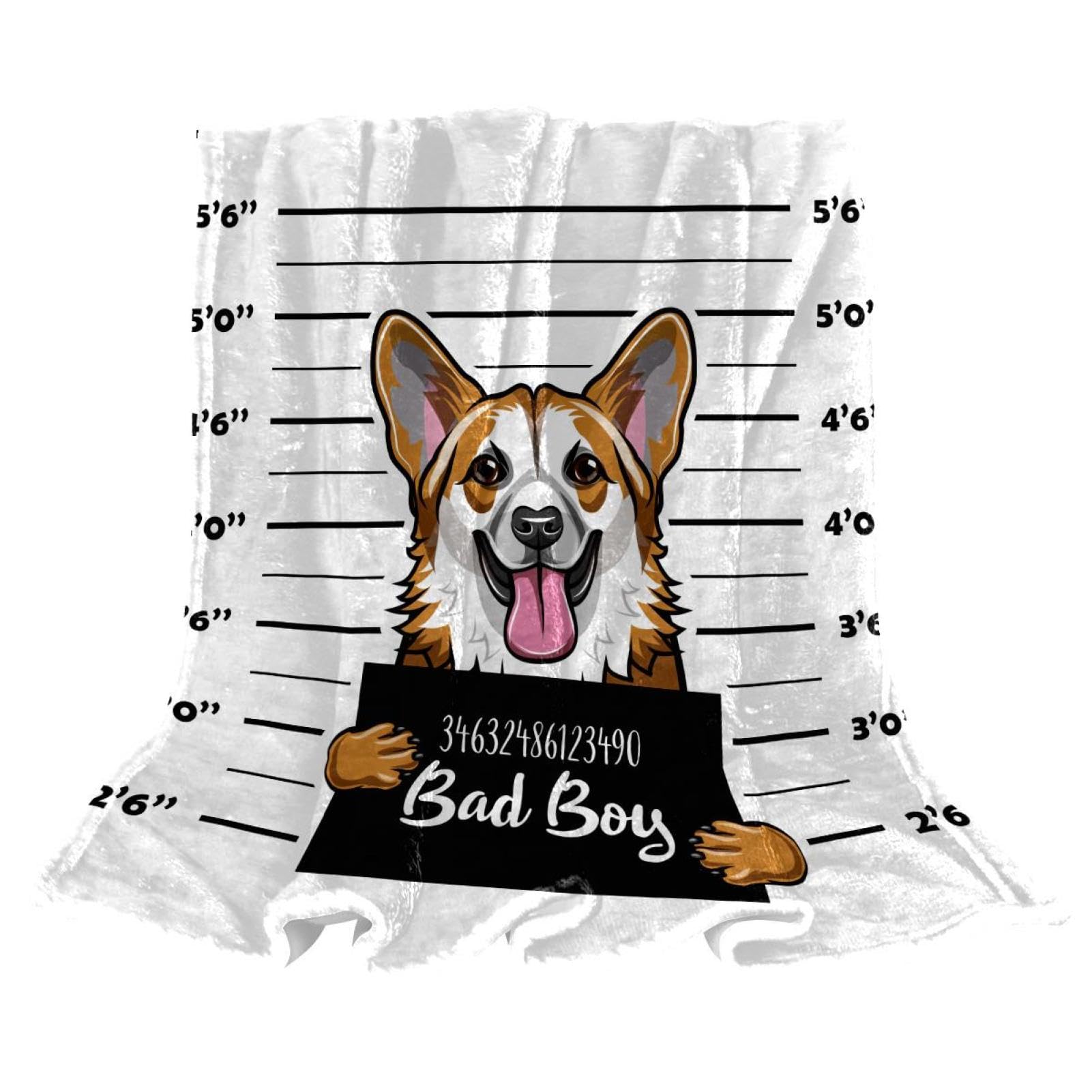 Couverture polaire drôle de corgi pour des soirées cocooning sur le canapé