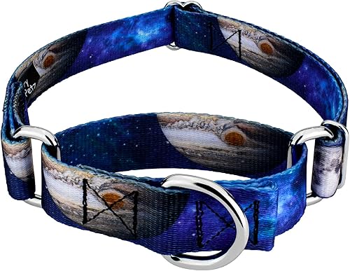 Country Brook Petz - Collar de perro Martingala Galactic Neighbors edición limitada - Colección Geek Chic con diseños para cualquier mega fan (1
