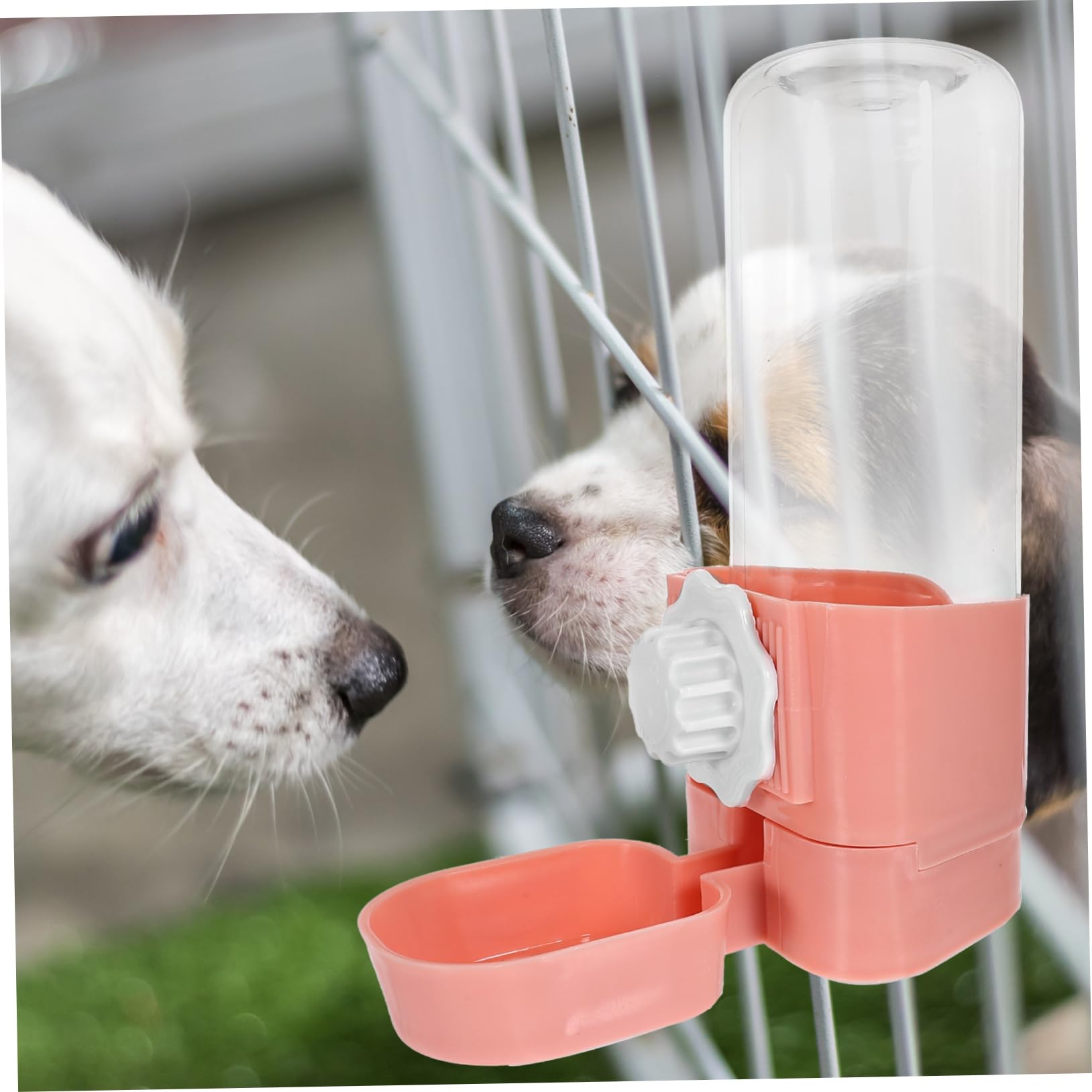 DOITOOL 3piezas Botella De Agua para Mascotas Soporte Colgante Bebedero Automático para Hamsters Conejillos De Indias y Chinchillas Diseño Moderno Accesorio Esencial para Jaulas