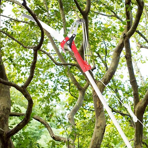 Miniatura 6 de Herramienta de corte de poda de jardín, podadora, podadora de alta altitud, árbol de 14 pulgadas para tijeras de podar, cortadoras de utensilios,